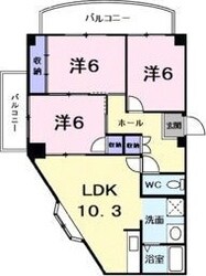 メゾン351の物件間取画像